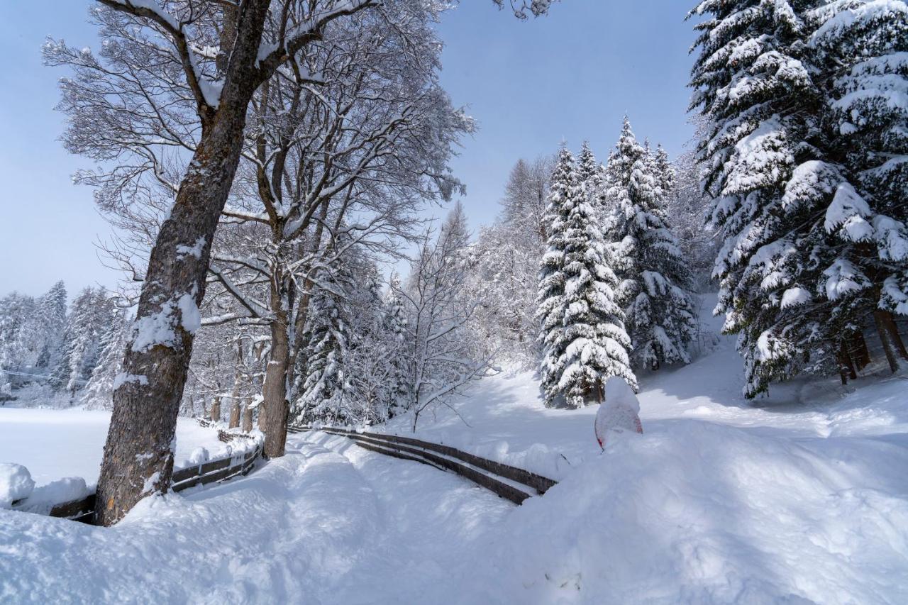 Chalet Traumblick Маутерндорф Екстериор снимка