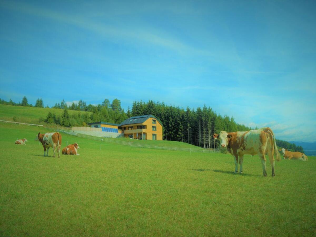 Chalet Traumblick Маутерндорф Екстериор снимка